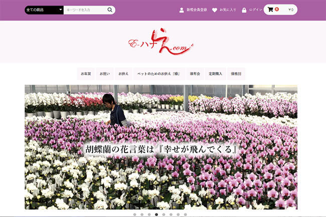 個人向けオンラインショップ「E-ハナらん.com」　多様な品種の胡蝶蘭を用意
