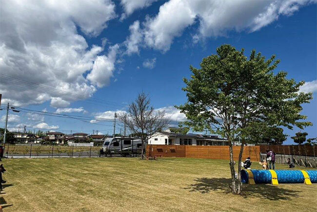 「DOGLAND Bros」にあるドッグラン。多いときは1日100頭が利用する