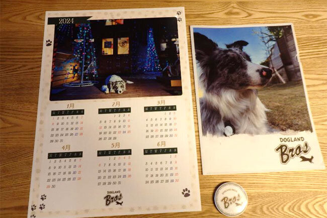 無料プレゼント用にオンデマンド印刷機で作成したカレンダーとクリアファイル、缶バッジ