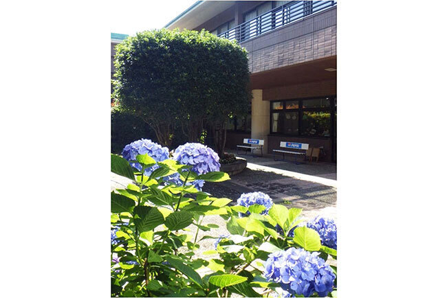 紫陽花が色づき始めた中庭。デイサービスなどの人たちが集うスペースだ