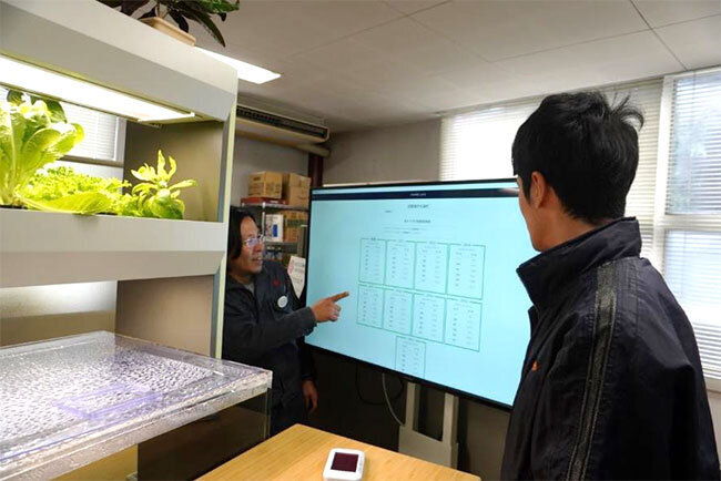 アクアポニックス家具のそばで電子黒板を使いながら打ち合わせをする様子