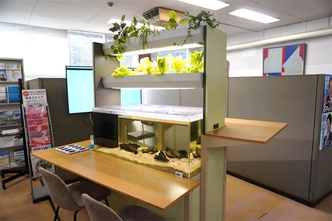 新規事業開発部が試作を進めているアクアポニックス家具
