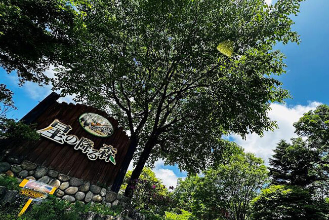 星の降る森の入口の看板