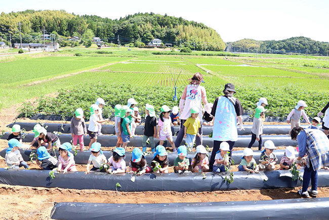 自然豊かな北浦こども園周辺の田園風景。身近な里山での収穫体験は、子どもたちの原風景として記憶に残るだろう