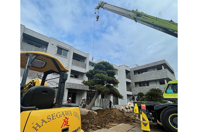 植木の植栽には特別なノウハウが必要になる