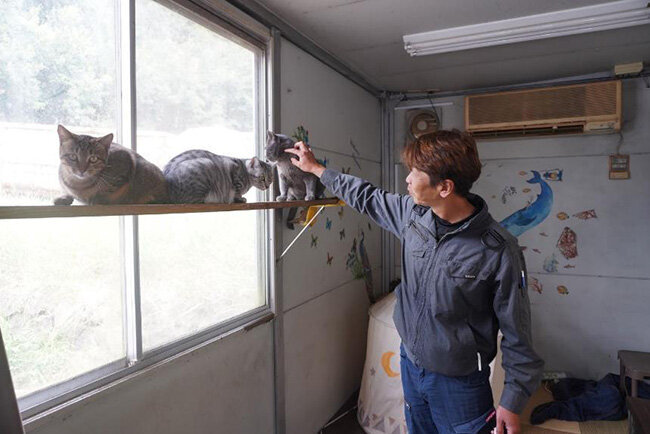 行き場のない猫を保護している飼育部屋。従業員との触れ合いも生まれている。