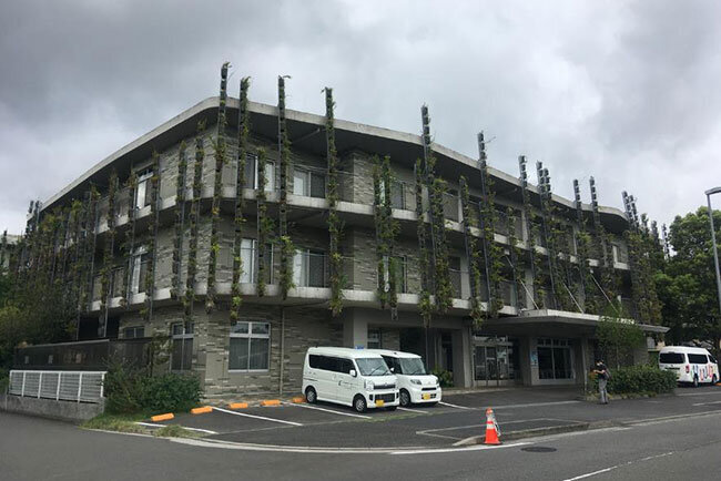 さまざまな植物で緑化した外壁が特徴的な愛成苑