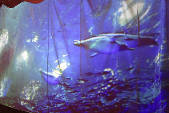 職員がアイデアを出し合い、さまざまなサービスやイベントを企画。プロジェクションマッピングによる水族館観賞など、ICTを活用したデジタルコンテンツも始めている