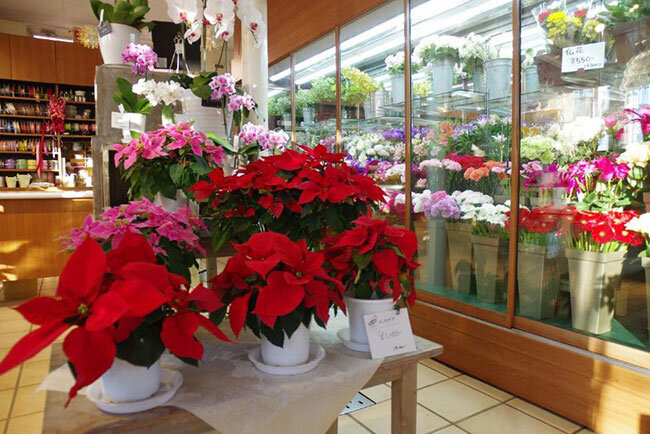 フラワー紅白のショップには様々な種類の花が並んでいる