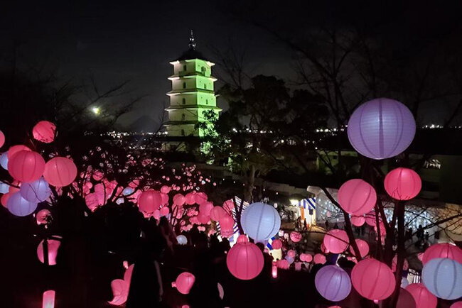 たどつ桜んたんページェントの様子（多度津町のホームページより）