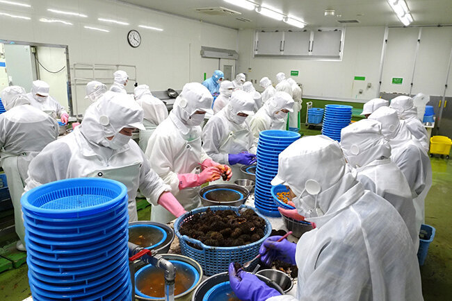 酸化を防ぐ窒素水を使用しわずかな内臓もきれいに除去することで鮮度と身質を維持できる