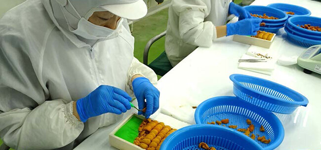 色合いや並べ方もスタッフの拘りが込められている「浜中　小川のうに」