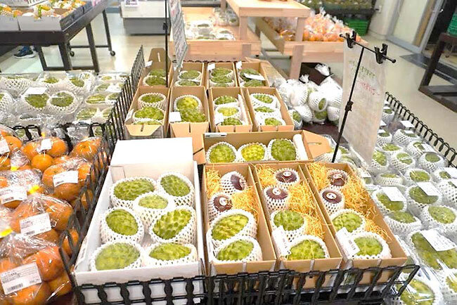 アテモヤをはじめ、季節ごとの熱帯フルーツを買い求めることができる