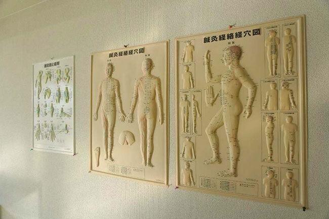 教室内に掲示されている「鍼灸経路経穴図」