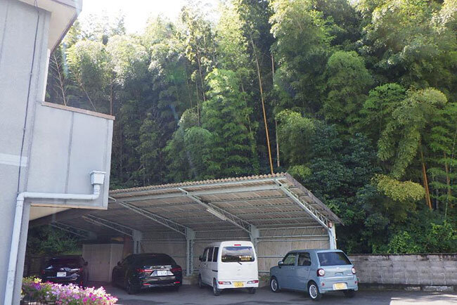 敷地は自然豊かな竹林に囲まれている