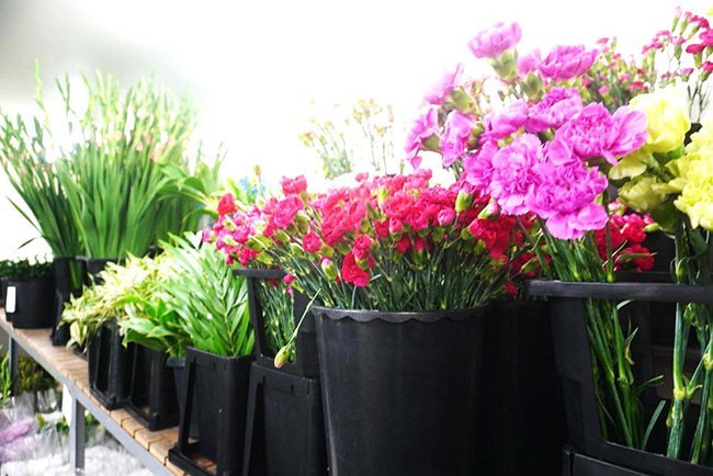 冷蔵庫では様々な花をストックしている