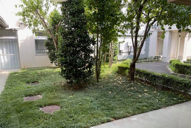 居室の前の中庭。部屋から緑が見え癒やされる