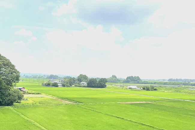 建設土木と稲作の多角経営が室井社長の夢だ（那須塩原市郊外の田園風景）