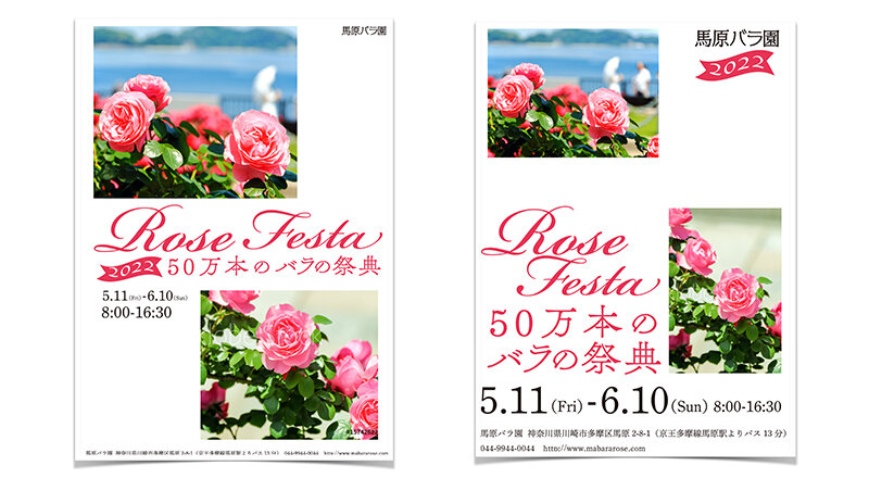 図:セオリーコラム