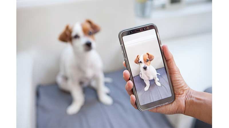 図:セオリーコラム