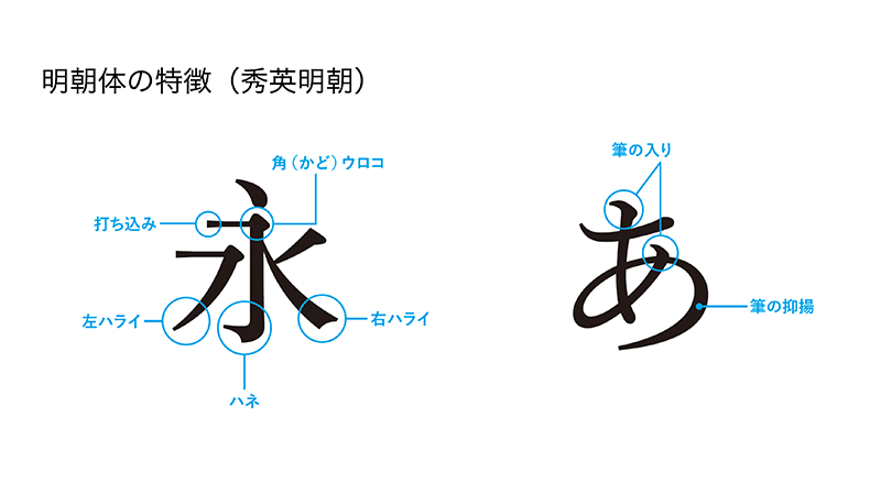 図:セオリーコラム
