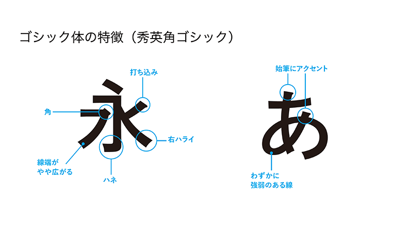図:セオリーコラム