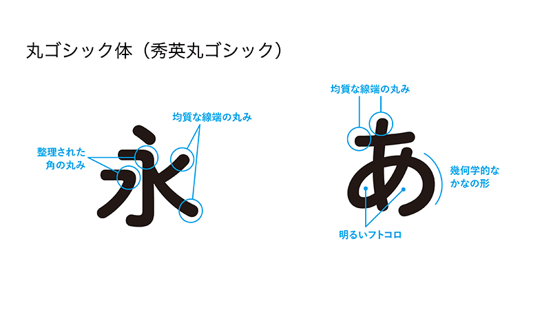 図:セオリーコラム