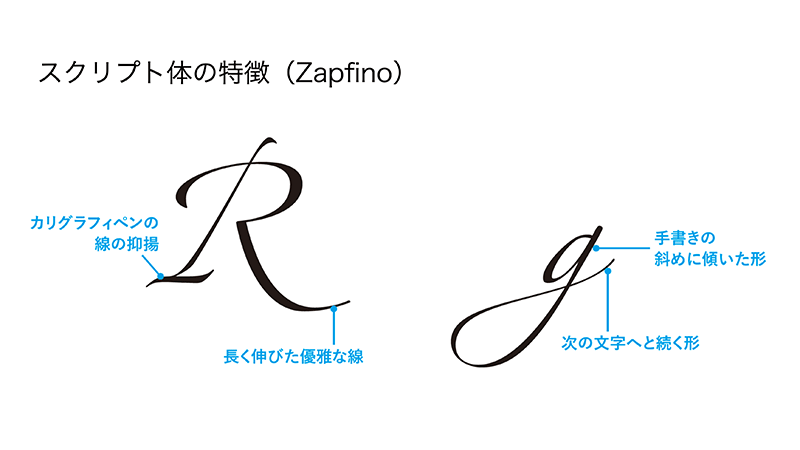 図:セオリーコラム