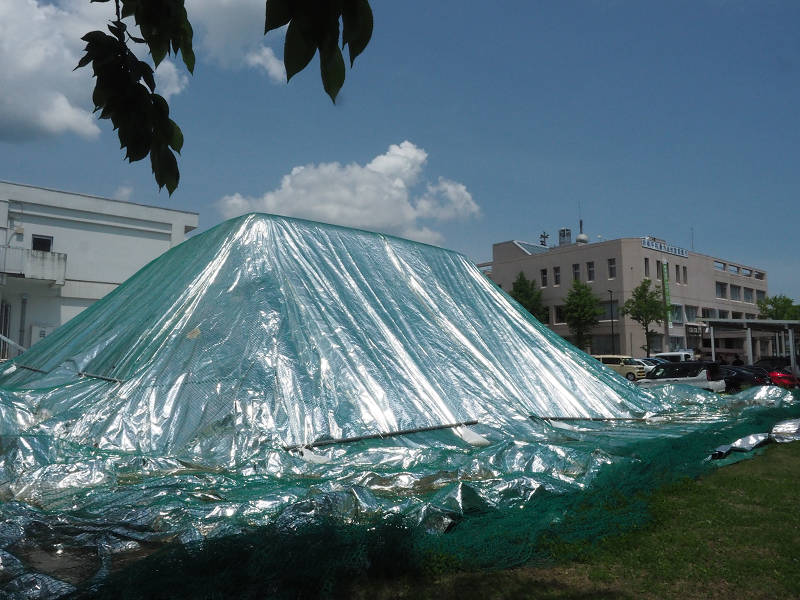 南魚沼市役所_集積された雪