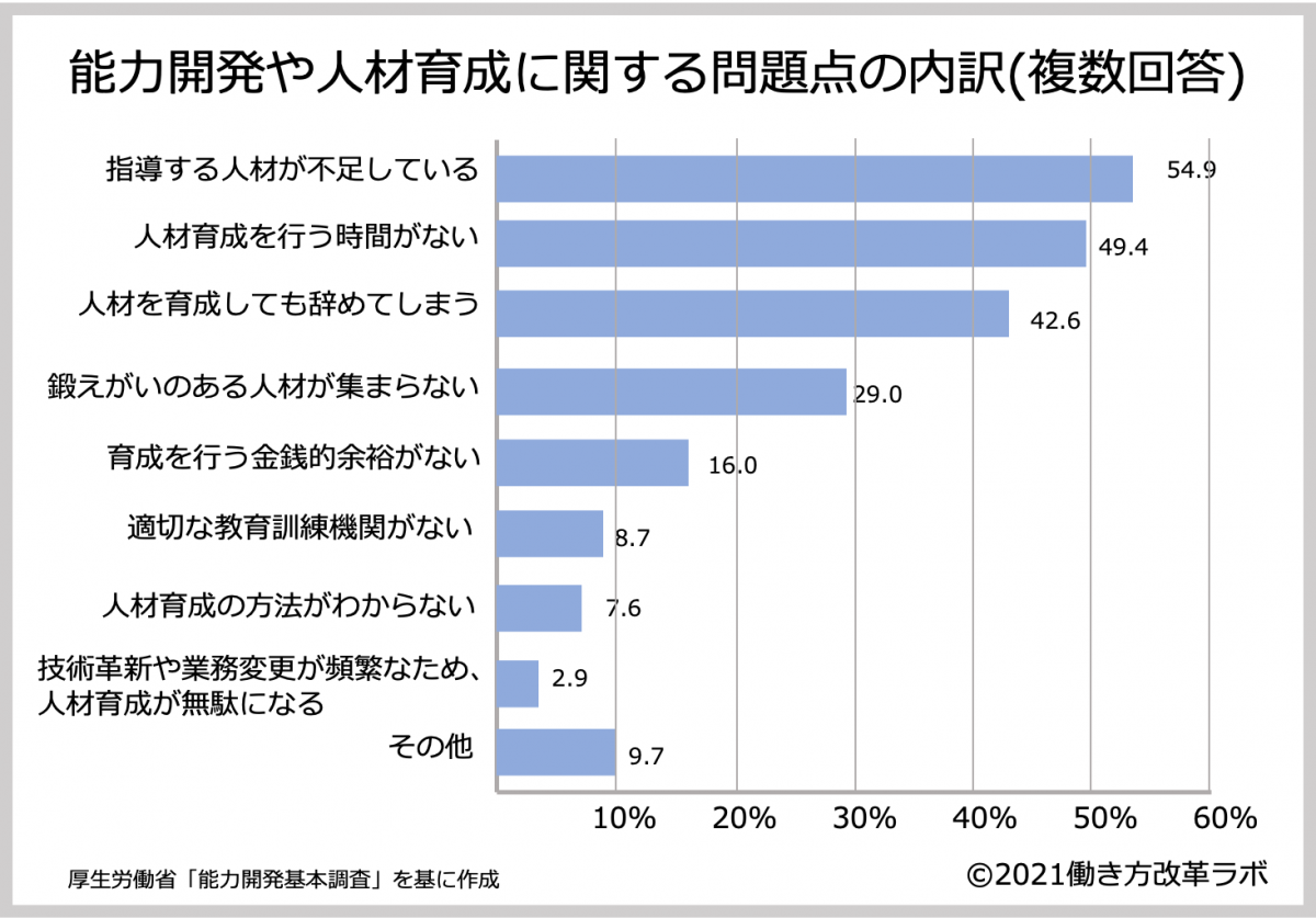 能力開発や人材育成に関する問題点のうち内訳(複数回答)