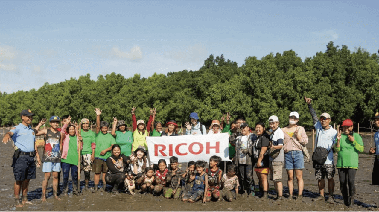 マングローブ植林活動