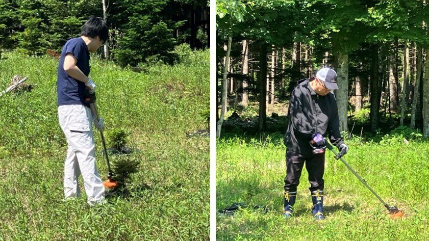 雑草を刈る様子