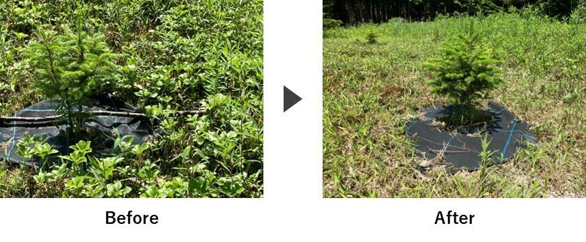 ビフォーアフター