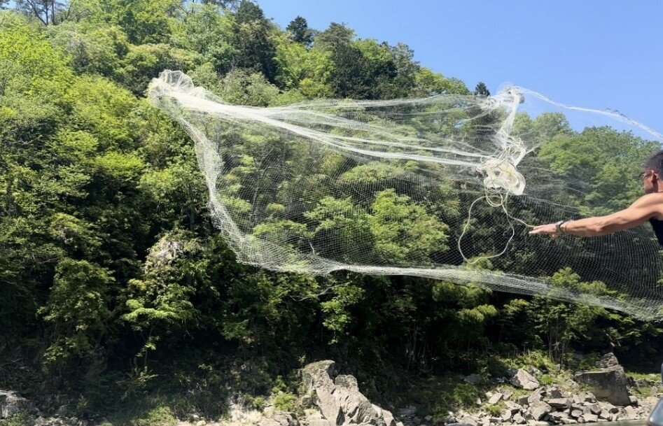 ※見事に広がる投網