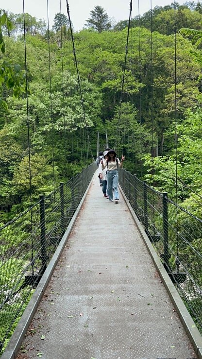 ゆっくりゆっくり歩きます。