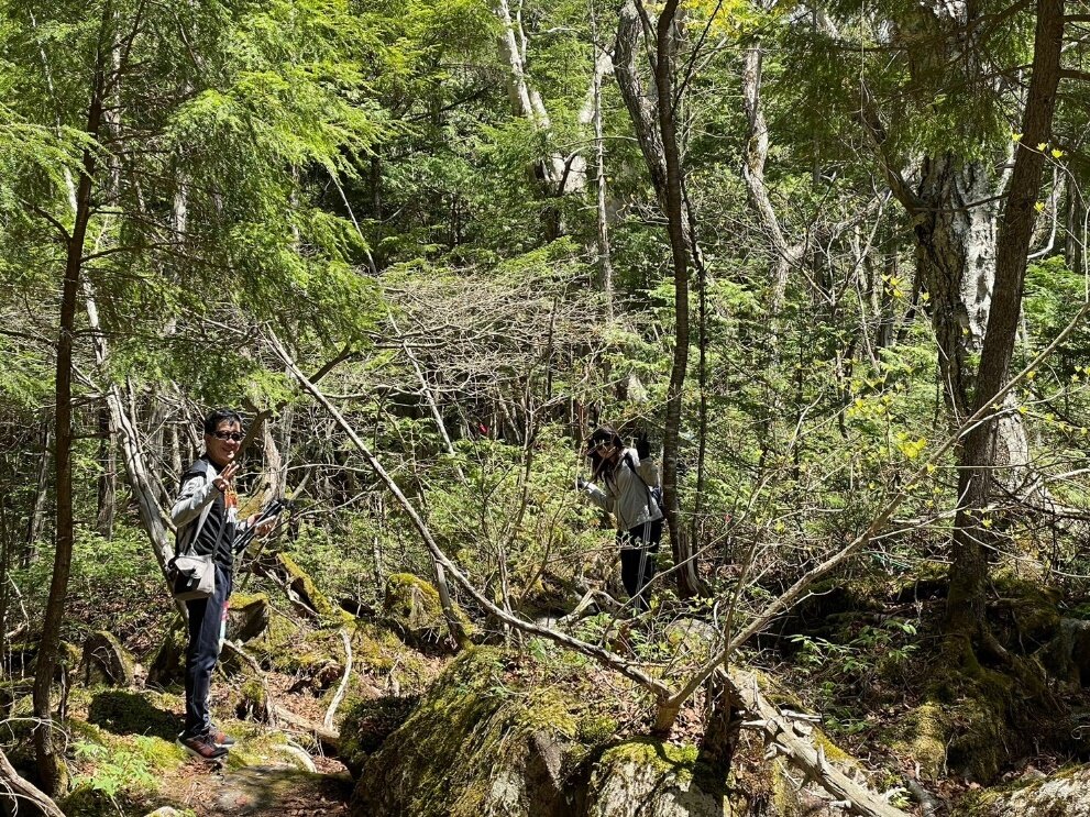 足元に気をつけながら歩きます
