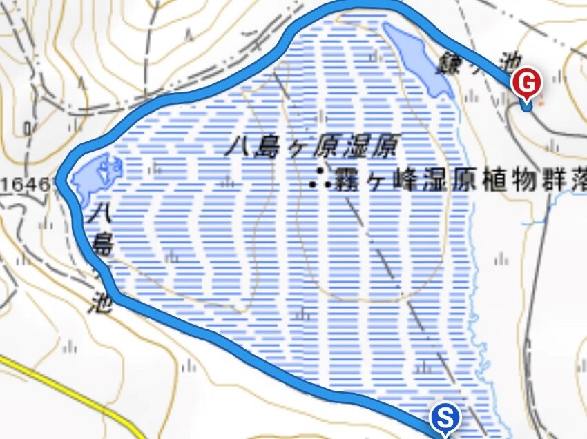 「Ｃ」になっていますよね？