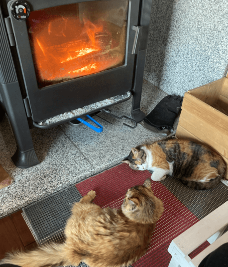 薪ストーブに猫も集まる