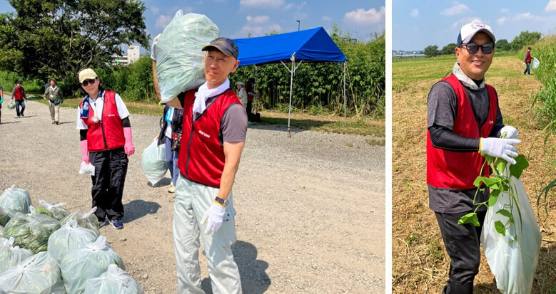 駆除したアレチウリをまとめる様子