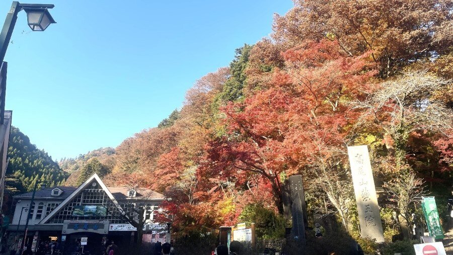 ●紅葉が美しいケーブルカーのりば(清滝駅)