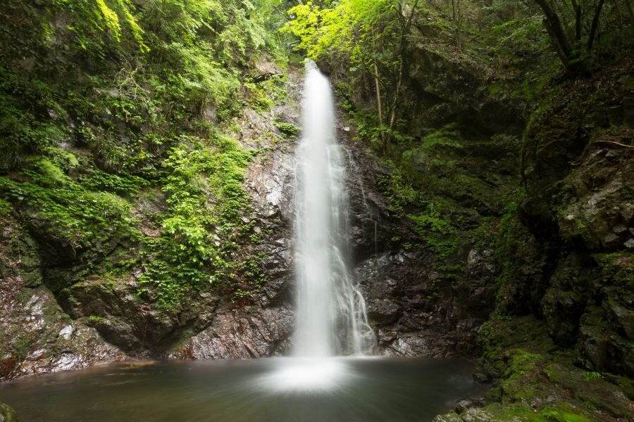 ●東京で唯一「日本の滝百選」に選ばれている名瀑“払沢の滝”