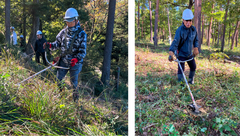 刈払いの様子